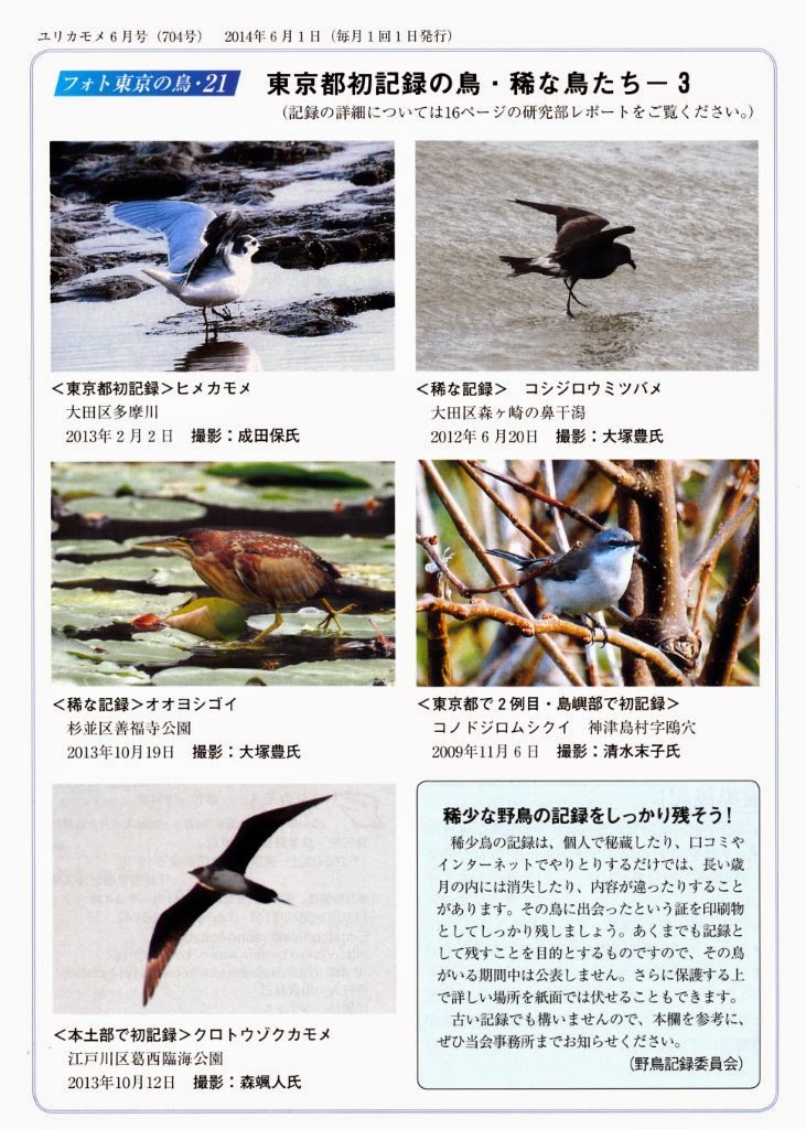 日本野鳥の会東京 研究部ブログ: 5月 2014